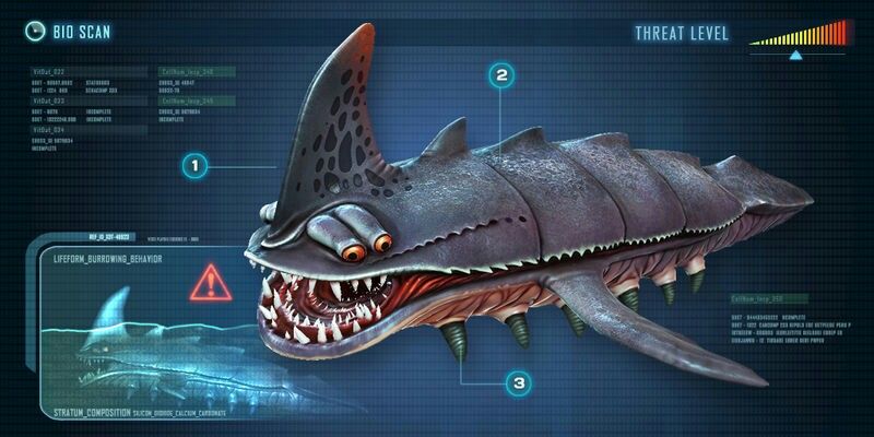 sshark